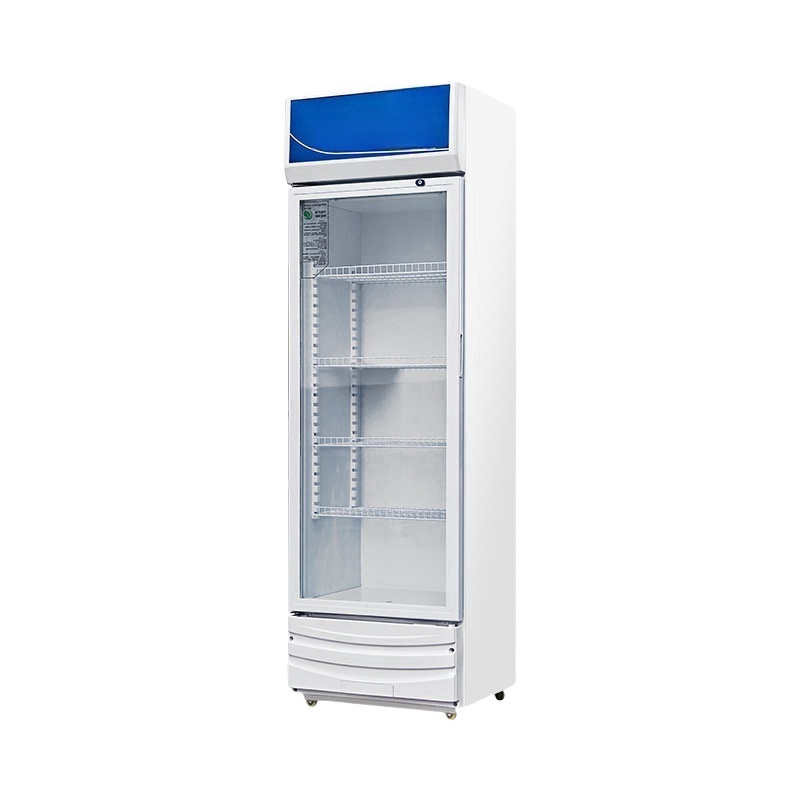 Wine In Beer Store - Commercial Electric Double Three-Door Wine Beverage