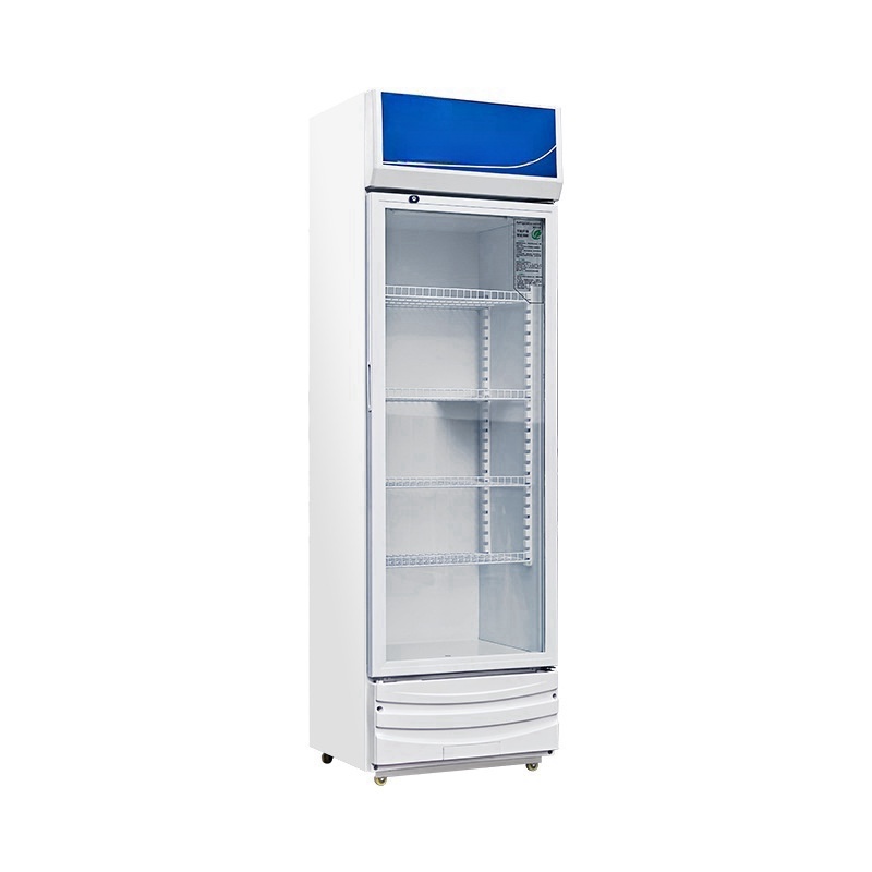 Commercial Electric Double Thr - Wine In Beer Store ulasan dan harga