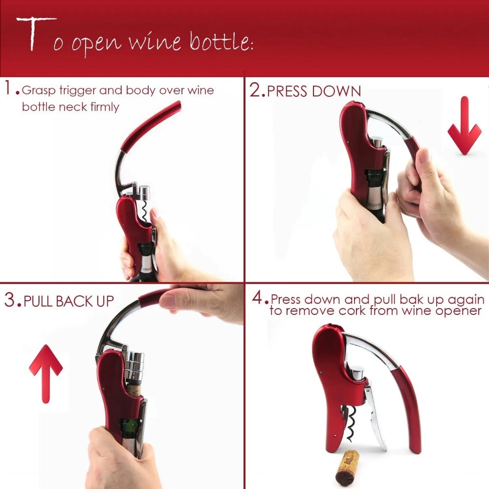 Professional Stainless Steel W - Wine In Beer Bottle ulasan dan harga