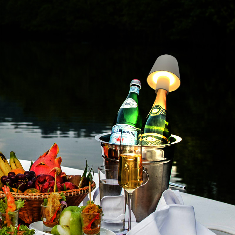 Home Decor Dimmable Rechargeab - Wine & Beer Hydrometer ulasan dan harga