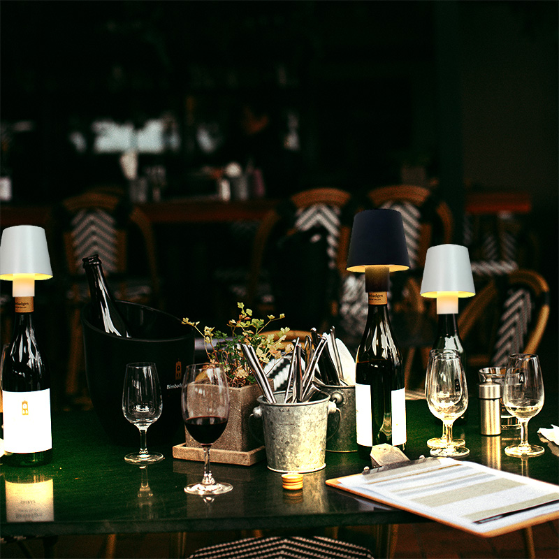 Home Decor Dimmable Rechargeab - Wine & Beer Hydrometer ulasan dan harga